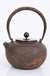 Cast Iron Embroidered Teapot Boiling Water