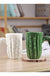 Cactus Creative Personality High Value Ceramic Cup With Lid