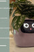 Facial Expression Control Intelligent Flower Pot