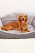 Dog bed sofa bed