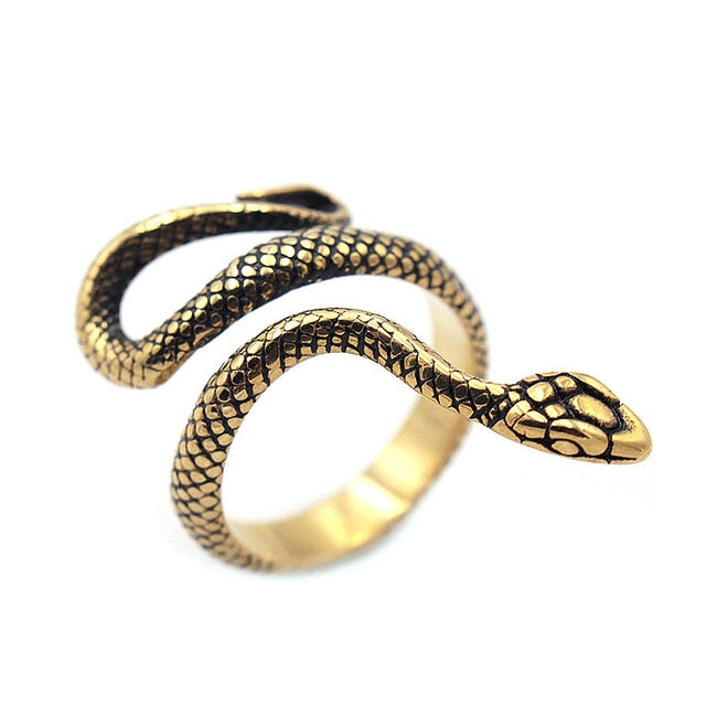 Retro Norse Mythology Men Ouroboros Ring - Okeihouse