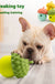 Dog Feeding Toy Chewing Bite-resistant Molar Leakage Food Toy