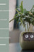 Facial Expression Control Intelligent Flower Pot