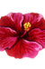 Feblilac Hibiscus Rosa-Sinensis Tufted Bath Mat