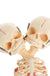 Double Head Baby Anatomy Skull Skeleton Anatomical Brain Anatomy Education Medical Model