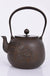 Cast Iron Embroidered Teapot Boiling Water