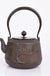 Cast Iron Embroidered Teapot Boiling Water