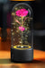 Creative 2 In 1 Rose Flowers LED Light And Bluetooth Speaker Valentine's Day Gift Rose Luminous Night Light Ornament In Glass Cover