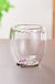 Creative Household Coffee Milk Dried Flower Quicksand Double Layer Glass Cup