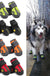 Big Dog Shoes Non-slip Wear Dog Shoes Pet Shoes