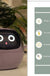 Facial Expression Control Intelligent Flower Pot