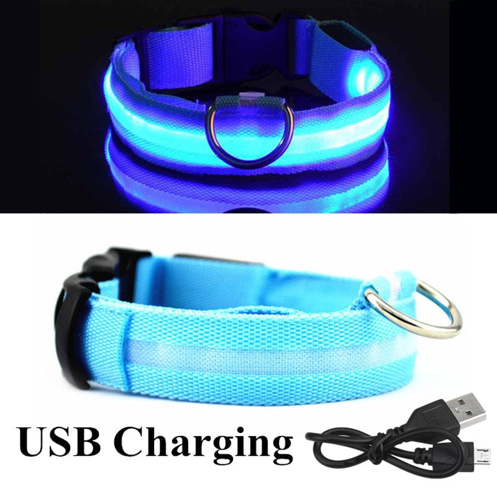 LED Dog Collar - Okeihouse