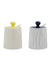 Ceramic Seasoning Pot Set Kitchen MSG Salt Shaker