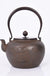 Cast Iron Embroidered Teapot Boiling Water