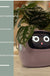 Facial Expression Control Intelligent Flower Pot