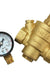 Adjustable DN15 Bspp Brass Water Pressure Reducing Valve with Gauge Flow