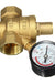 DN20 NPT 3/4" Adjustable Brass Water Pressure Regulator Reducer with Gauge Meter