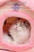 Cute Princess Cat Nest Thickened Puppet Winter Cat Pet Princess Bed