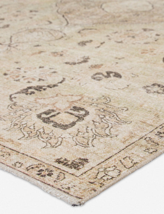 Cadencia Rug