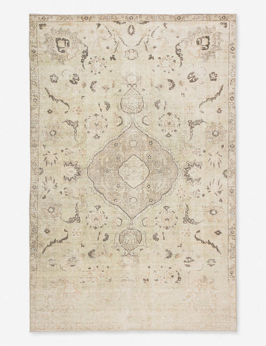 Cadencia Rug