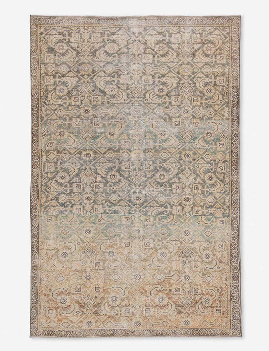 Phedora Rug