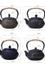 900ML Japanese Style Cast Iron Teapot With Stainless Steel Infuser Strainer Plum Blossom Cast Iron Tea Kettle For Boiling Water