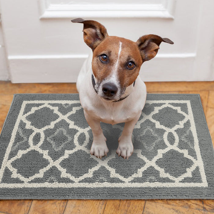 Light Grey Modern Entrance Rug