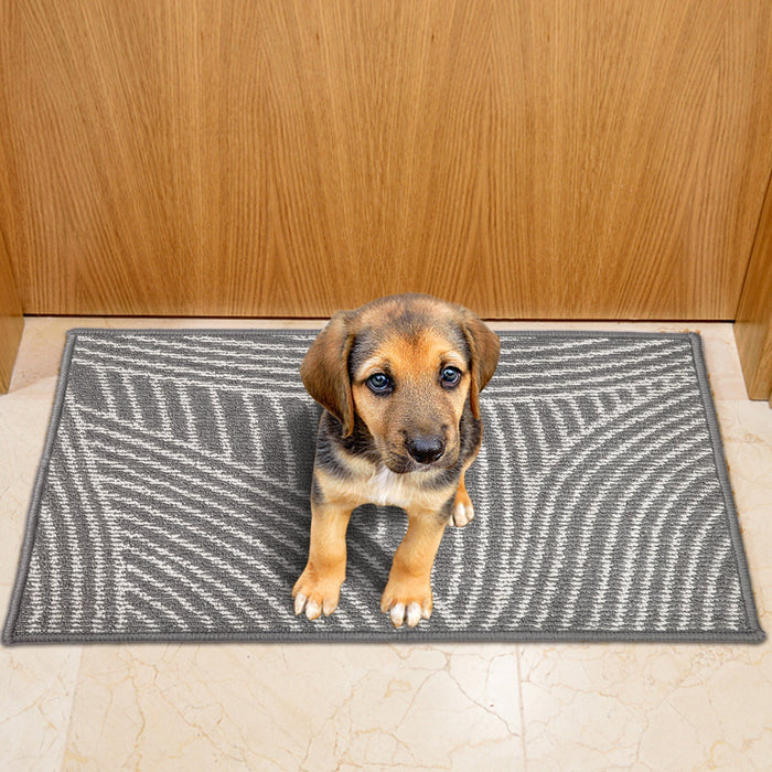 Light Grey Absorbent Entrance Rug