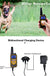 Electric Dog Training Collar Waterproof Dog Bark Collar Pet With Remote Control Rechargeable Anti Barking Device All Size Dogs