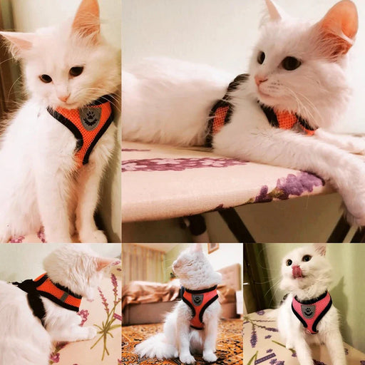 Cat Harness Vest Walking Lead Leash For Puppy Dogs Collar Polyester Adjustable Mesh Dog Harness For Small Medium Pet Accessories