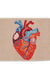 Medical Version of the Heart Bath Mat