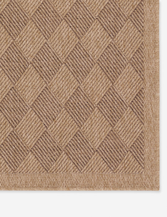 Adisa Indoor / Outdoor Rug