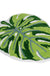 Feblilac Green Leaf Bath Mat, Monstera Bathroom Rug, Soft Flush Non-Slip Water Absorbent Mat