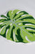 Feblilac Green Leaf Bath Mat, Monstera Bathroom Rug, Soft Flush Non-Slip Water Absorbent Mat