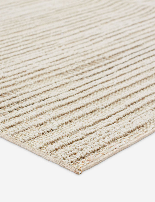 Jinlee Indoor / Outdoor Rug