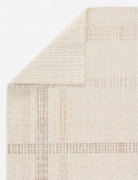 Jinlee Indoor / Outdoor Rug