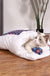 Removable Dog Cat Bed Cat Sleeping Bag Sofas Mat Winter Warm Cat House Small Pet Bed Puppy Kennel Nest Cushion Pet Products