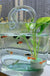 Clear Glass Vase Fish Tank Tote Bag Flower Handbag Bag Vase Desktop Centerpiece for School Office Bedroom Decoration