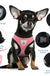 Cat Harness Vest Walking Lead Leash For Puppy Dogs Collar Polyester Adjustable Mesh Dog Harness For Small Medium Pet Accessories