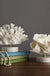 Creativity Resin Artificial Coral Artificial Coral Handicraft Furnishings White Marble Base Home Decoration Simulation Potting