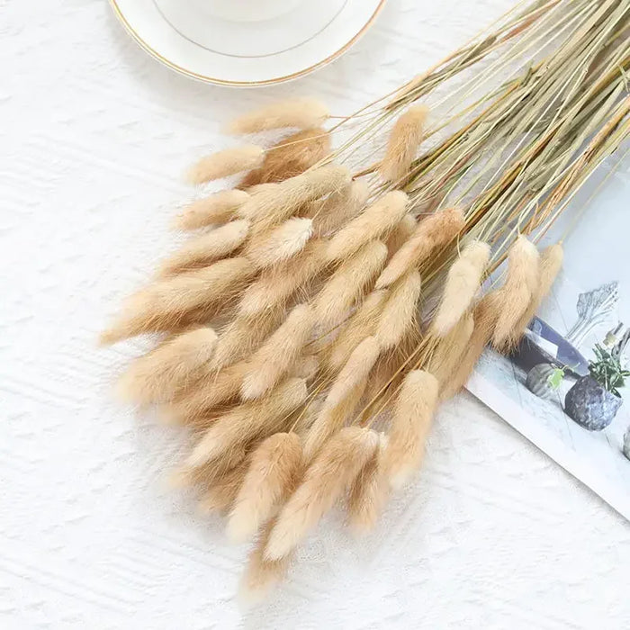 30-80pcs Nature Bunny Rabbit Tail Grass Dried Flower Bouquet Wedding Party Decor Fluffy Pampas Christmas Diy Floral Arrangement