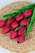 5/10PCS Artificial Tulip Flower Bouquet Real Touch PE Foam Fake Flower for Wedding Decoration Flowers for Home Garden Decoraive