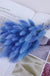 30-80pcs Nature Bunny Rabbit Tail Grass Dried Flower Bouquet Wedding Party Decor Fluffy Pampas Christmas Diy Floral Arrangement