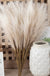 55CM 5/1PCS Fluffy Pampas Grass Boho Decor Flower Fake Plant Reed Simulated Wedding Party Christmas Home Decor Artificial Flower