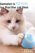 Cat Interactive Ball Smart Cat DogToys Electronic Interactive Cat Toy Indoor Automatic Rolling Magic Ball Cat Game Accessories