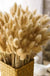 30-80pcs Nature Bunny Rabbit Tail Grass Dried Flower Bouquet Wedding Party Decor Fluffy Pampas Christmas Diy Floral Arrangement