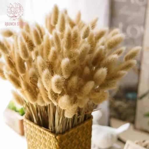 30-80pcs Nature Bunny Rabbit Tail Grass Dried Flower Bouquet Wedding Party Decor Fluffy Pampas Christmas Diy Floral Arrangement