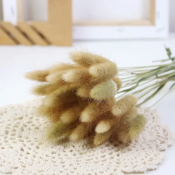 30-80pcs Nature Bunny Rabbit Tail Grass Dried Flower Bouquet Wedding Party Decor Fluffy Pampas Christmas Diy Floral Arrangement