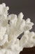 Creativity Resin Artificial Coral Artificial Coral Handicraft Furnishings White Marble Base Home Decoration Simulation Potting