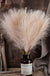 55CM 5/1PCS Fluffy Pampas Grass Boho Decor Flower Fake Plant Reed Simulated Wedding Party Christmas Home Decor Artificial Flower